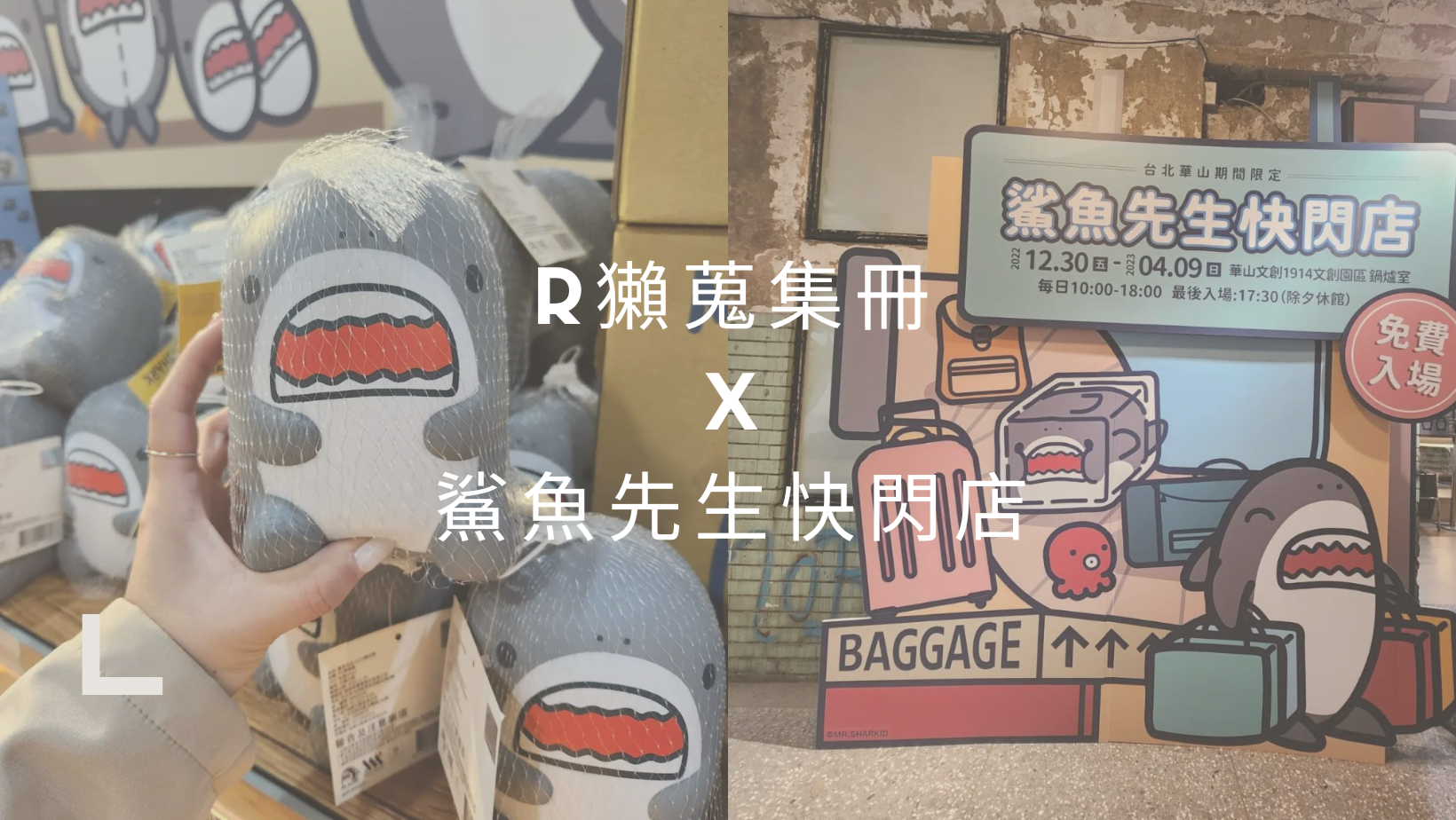 台北景點｜鯊魚先生快閃店｜呆萌鯊魚用品一次都帶回家~